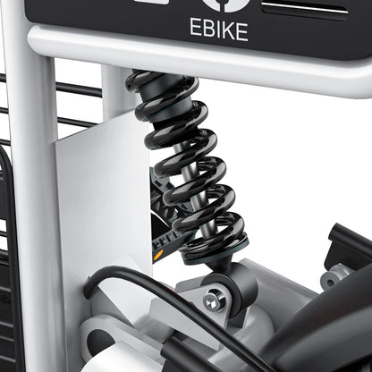 Coswheel – T16 eBike