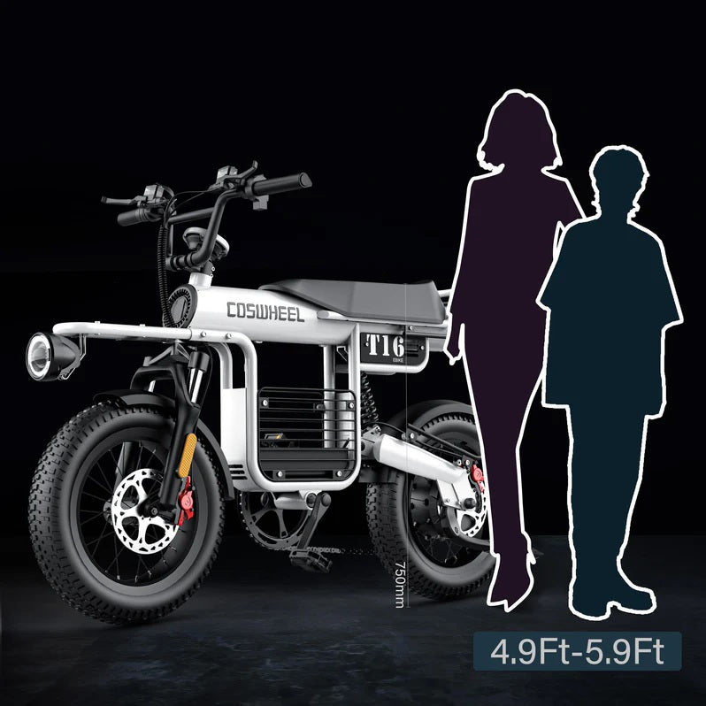Coswheel – T16 eBike