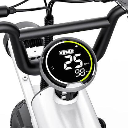 Coswheel – T16 eBike
