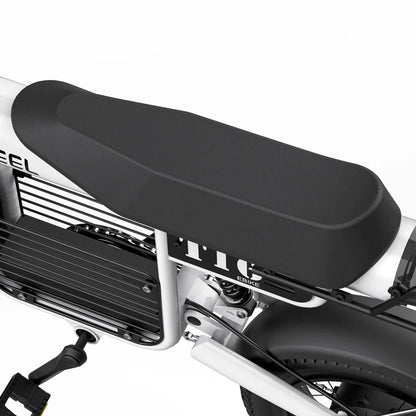Coswheel – T16 eBike